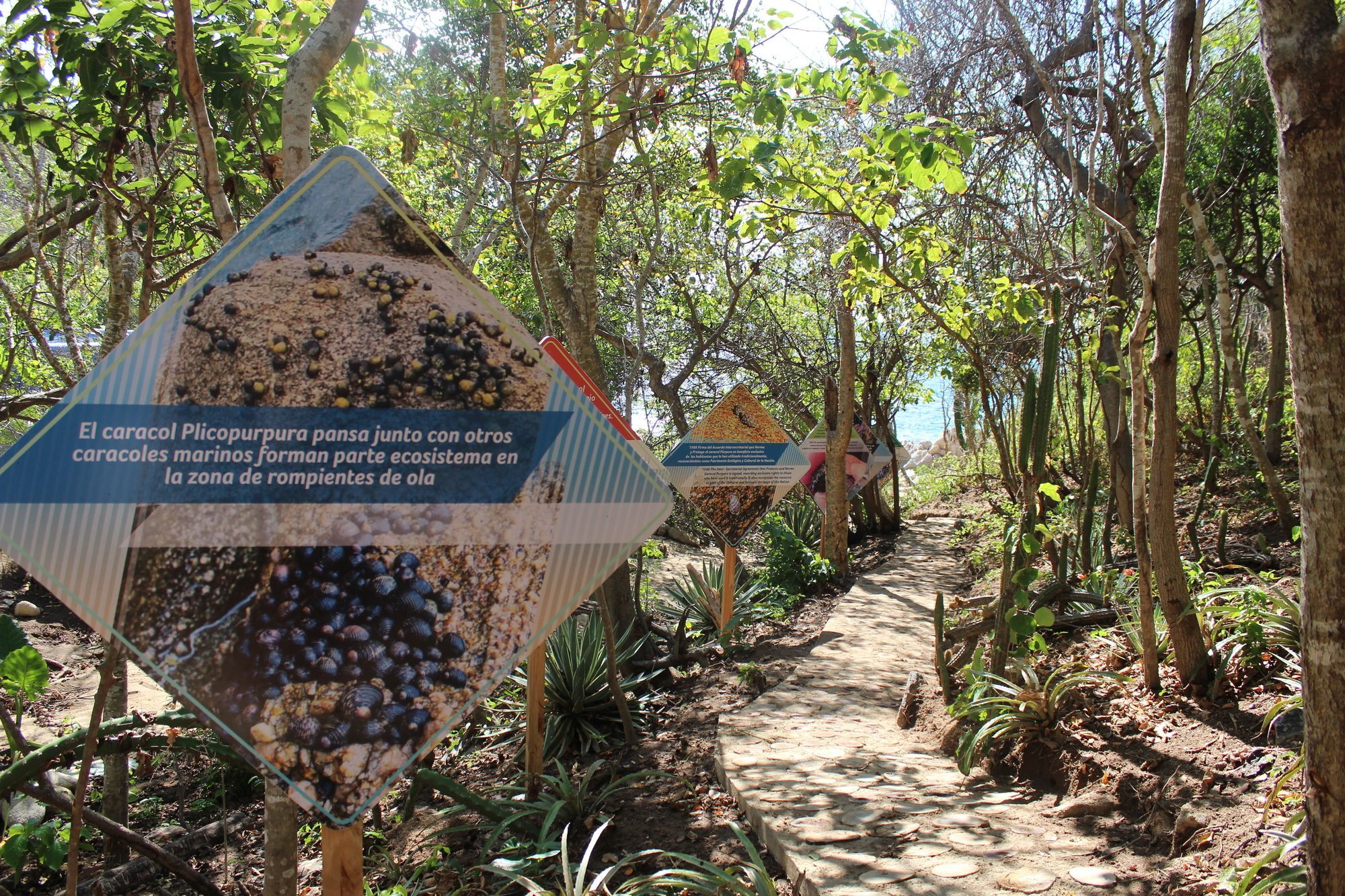Isla Natura Beach Huatulco Santa Cruz Huatulco Zewnętrze zdjęcie